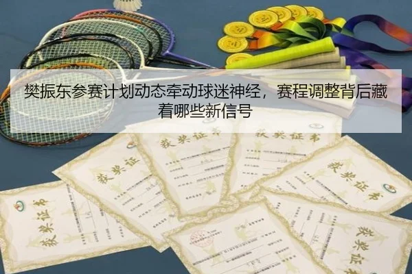樊振东参赛计划动态牵动球迷神经，赛程调整背后藏着哪些新信号